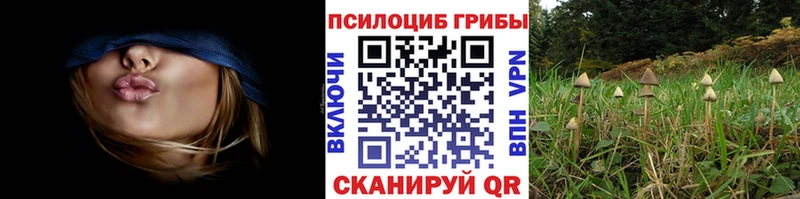 сайты даркнета наркотические препараты  Высоцк  Галлюциногенные грибы Magic Shrooms  как найти наркотики 